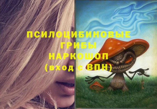 тгк Коряжма