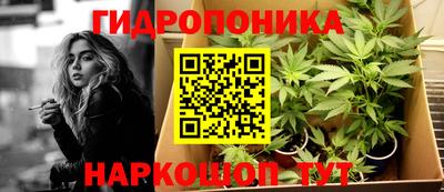 крисы Абинск