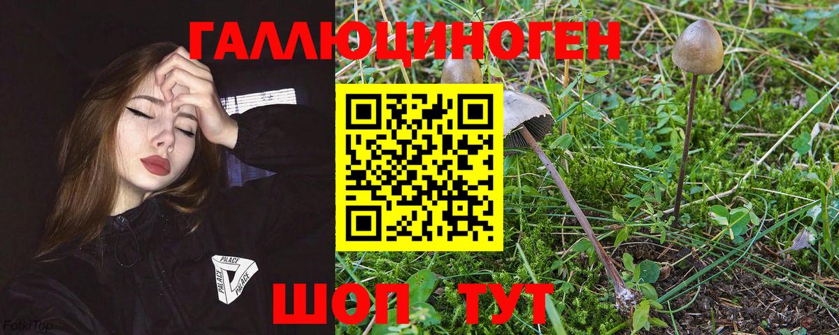 Альметьевск  наркошоп  Вход с VPN  Галлюциногенные грибы ЛСД 
