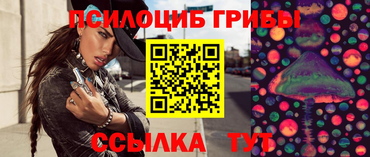 Галлюциногенные грибы мицелий  Галлюциногенные грибы Psilocybe  Альметьевск 