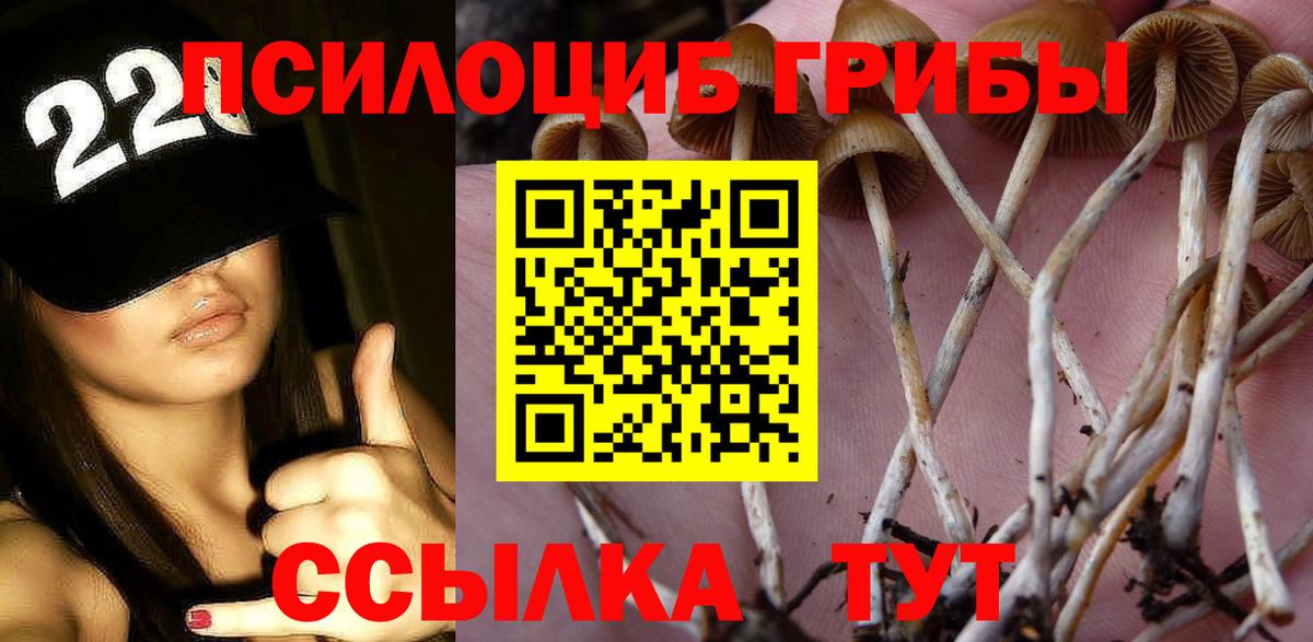 Псилоцибиновые грибы Magic Shrooms Альметьевск