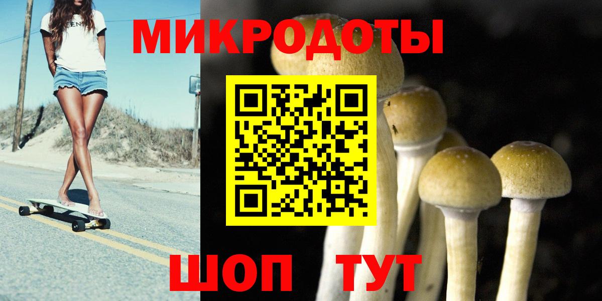 Псилоцибиновые грибы мухоморы Альметьевск